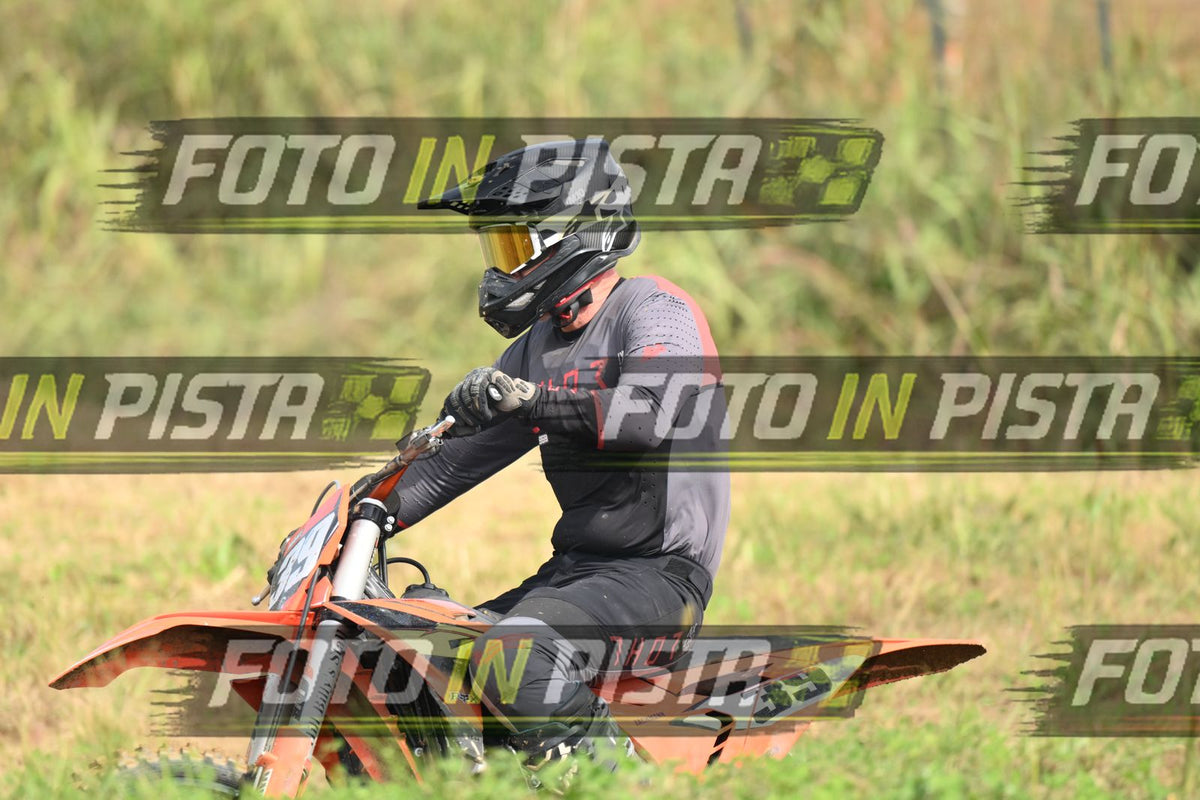 39 · DSH_1081