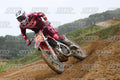 13 · DSH_1098