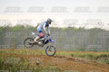 46 · DSH_1229