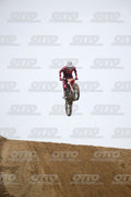 13 · DSH_1236