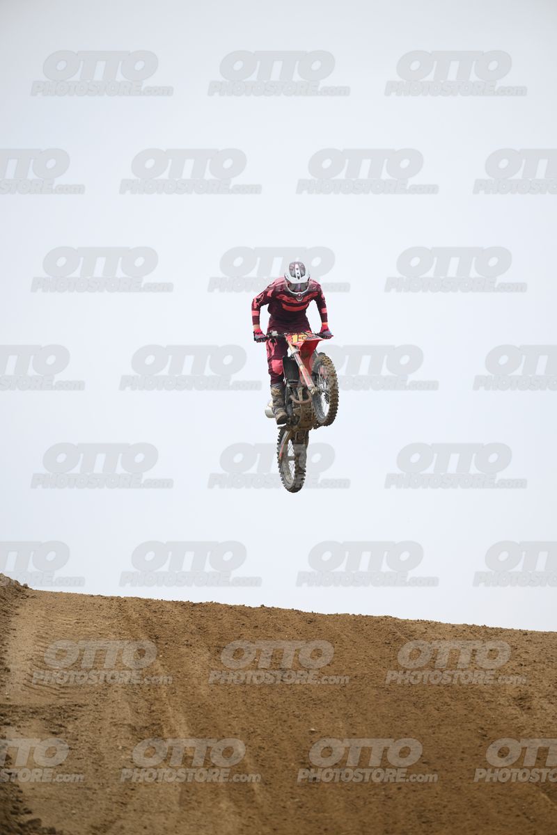 13 · DSH_1236
