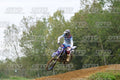 46 · DSH_1244