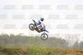 46 · DSH_1253