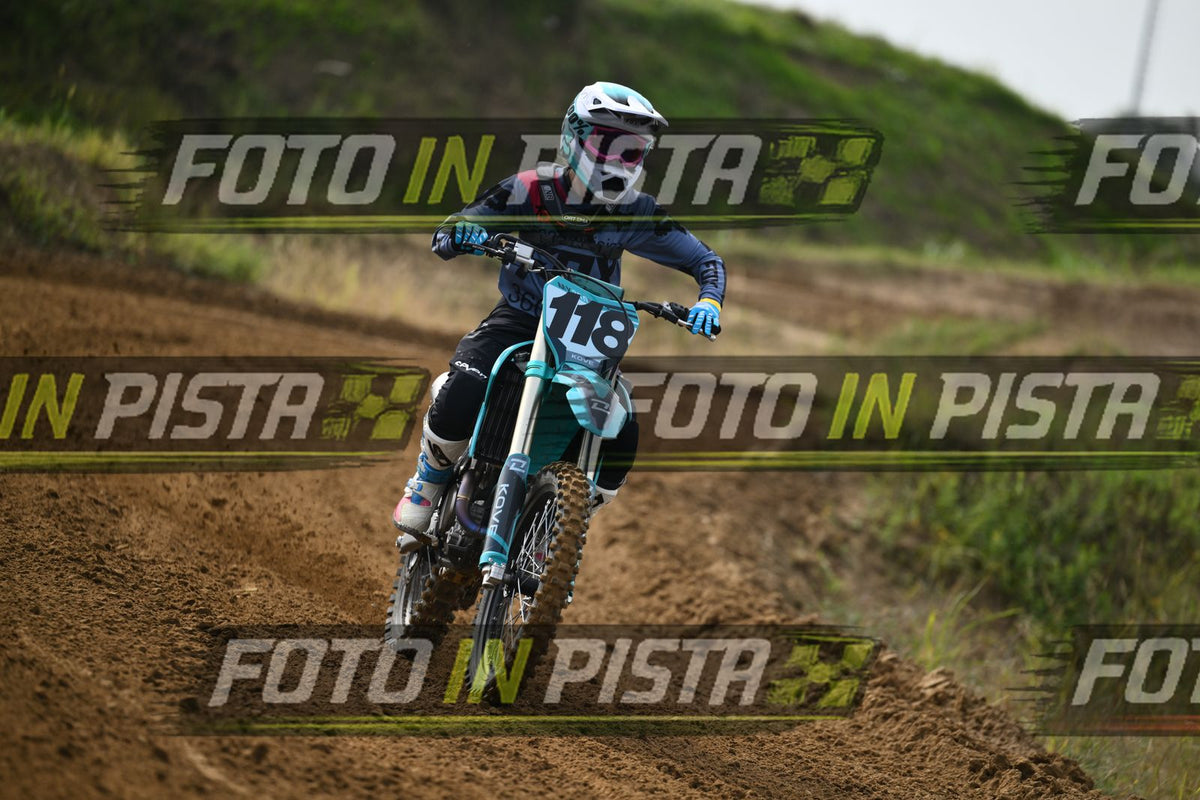 118 · DSH_1319