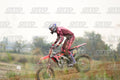 13 · DSH_1356