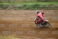 13 · DSH_1406