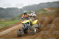 151 · DSH_1463