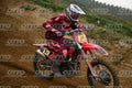 13 · DSH_1486