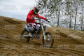 29 · DSH_1501
