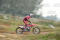 13 · DSH_1529