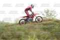 13 · DSH_1530