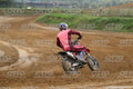 13 · DSH_1549