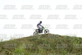 468 · DSH_1560