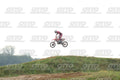13 · DSH_1587