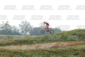 13 · DSH_1591