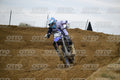 96 · DSH_1593