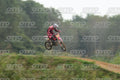 13 · DSH_1595