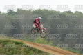 13 · DSH_1598