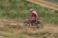 13 · DSH_1608