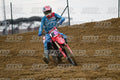 82 · DSH_1612