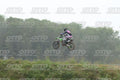 468 · DSH_1617