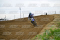 96 · DSH_1629