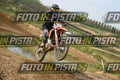 39 · DSH_1687