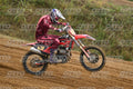 13 · DSH_1687