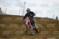 583 · DSH_1719