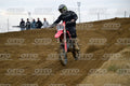 583 · DSH_1721