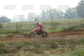 13 · DSH_1729