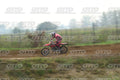 13 · DSH_1730