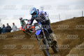 96 · DSH_1732