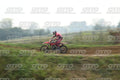 13 · DSH_1733