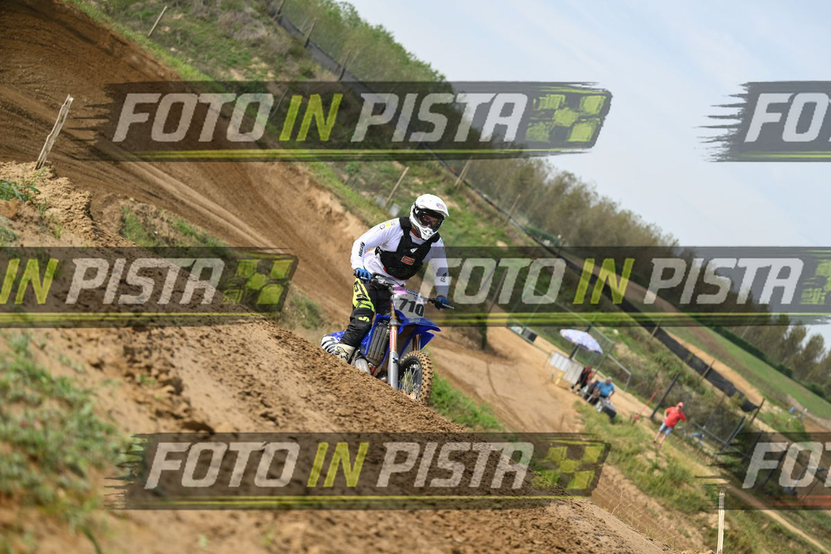 710 · DSH_1736