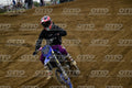 192 · DSH_1740