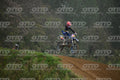 12 · DSH_1745