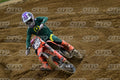 452 · DSH_1755