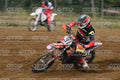 31 · DSH_1780