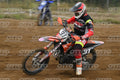 31 · DSH_1782