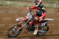 31 · DSH_1783