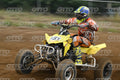 151 · DSH_1794