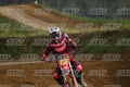 13 · DSH_1796