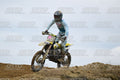 28 · DSH_1800