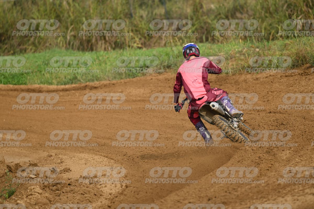 13 · DSH_1809