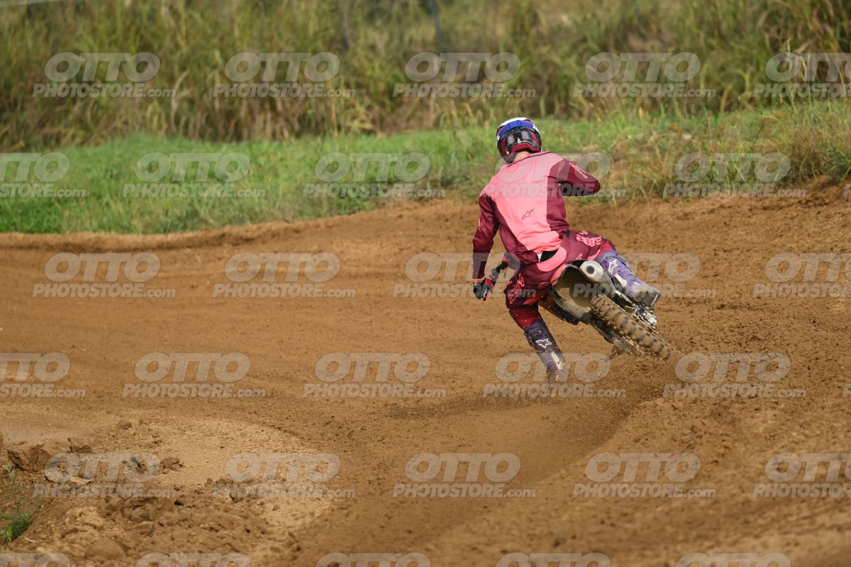13 · DSH_1810