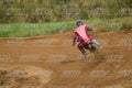 13 · DSH_1811