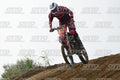 13 · DSH_1845