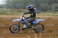 521 · DSH_1875