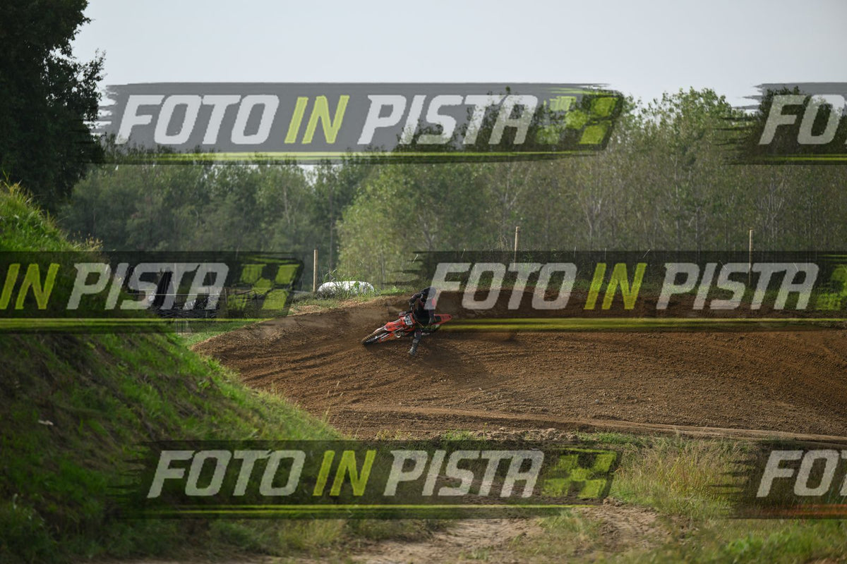 39 · DSH_1876
